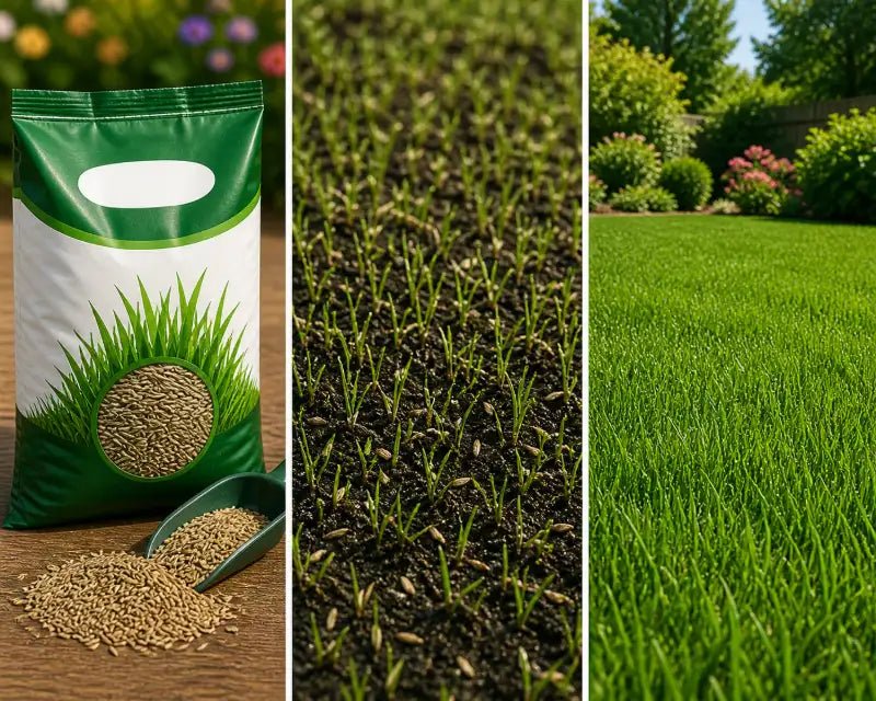 Seeds - BhoomiBharat