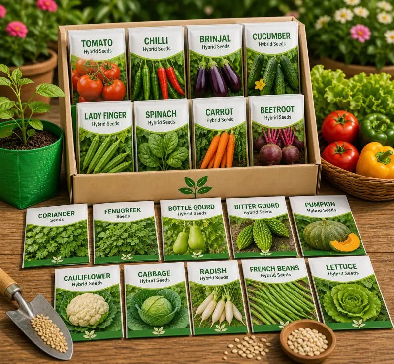 Vegetable Seeds - BhoomiBharat