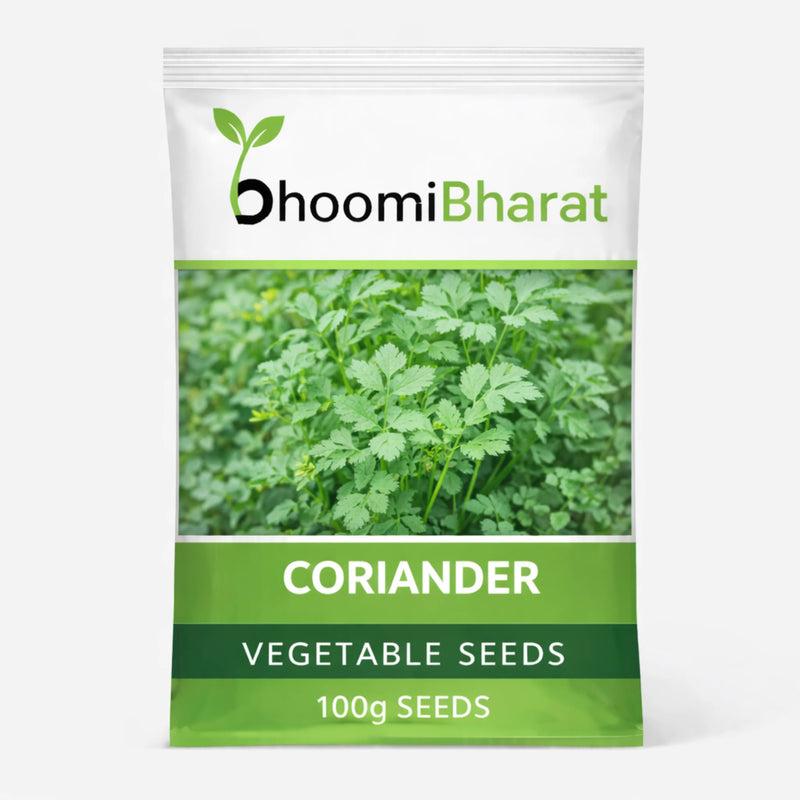 Coriander Seed