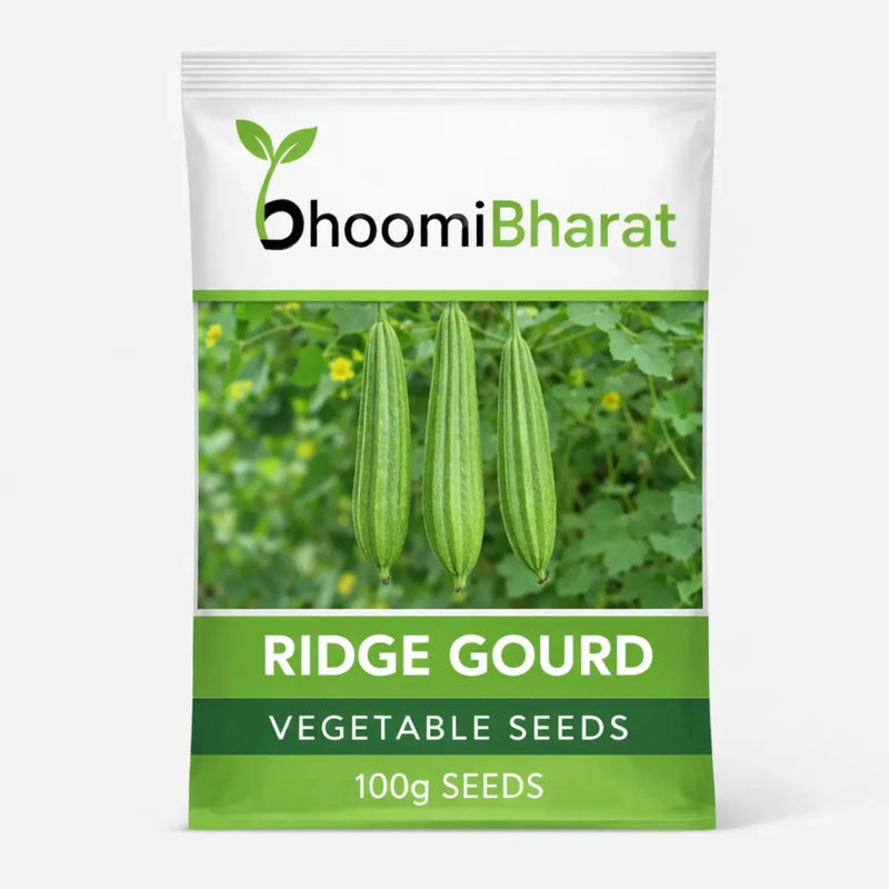 Ridge Gourd Seed