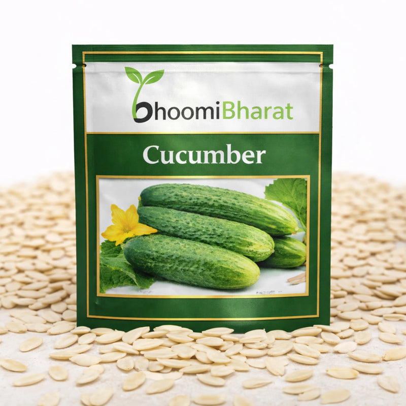 Cucumber Seed