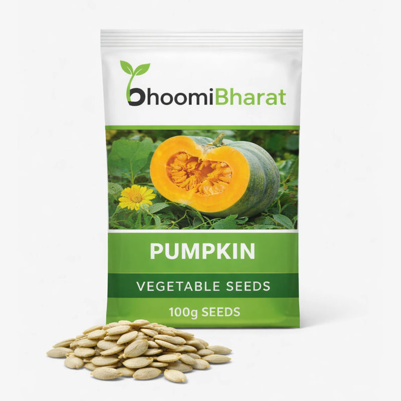 Pumpkin Seed