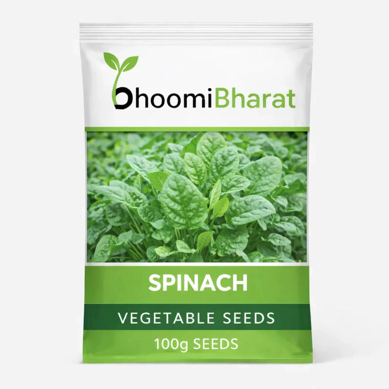 Spinach Seed